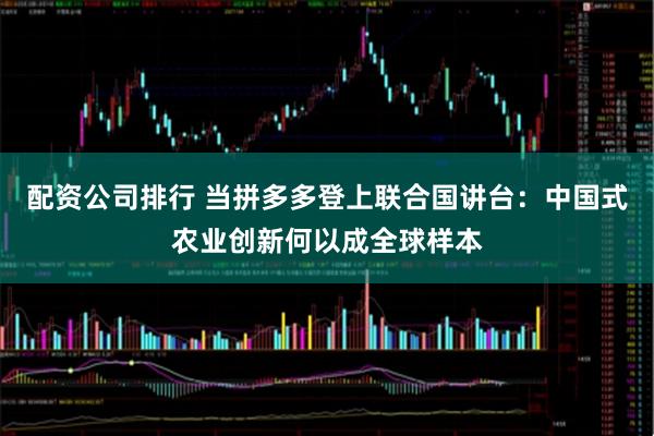 配资公司排行 当拼多多登上联合国讲台：中国式农业创新何以成全球样本