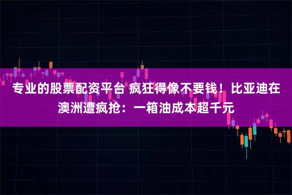 专业的股票配资平台 疯狂得像不要钱！比亚迪在澳洲遭疯抢：一箱油成本超千元