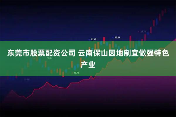 东莞市股票配资公司 云南保山因地制宜做强特色产业